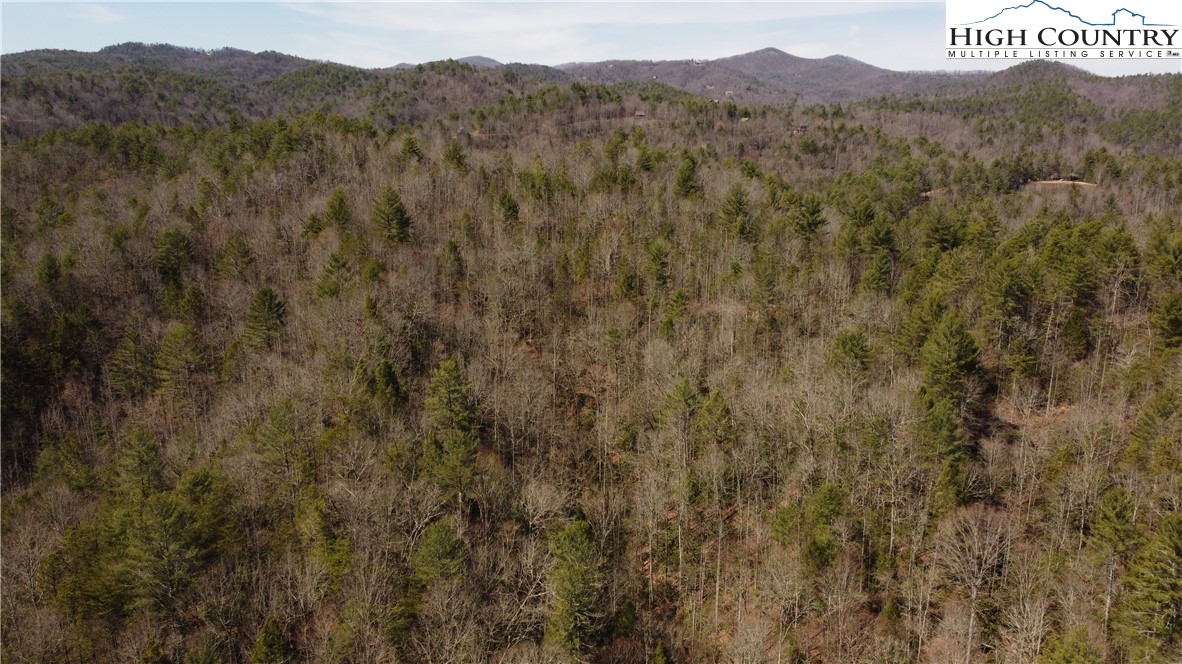 0 Elk Creek Darby Road Property Photo 17
