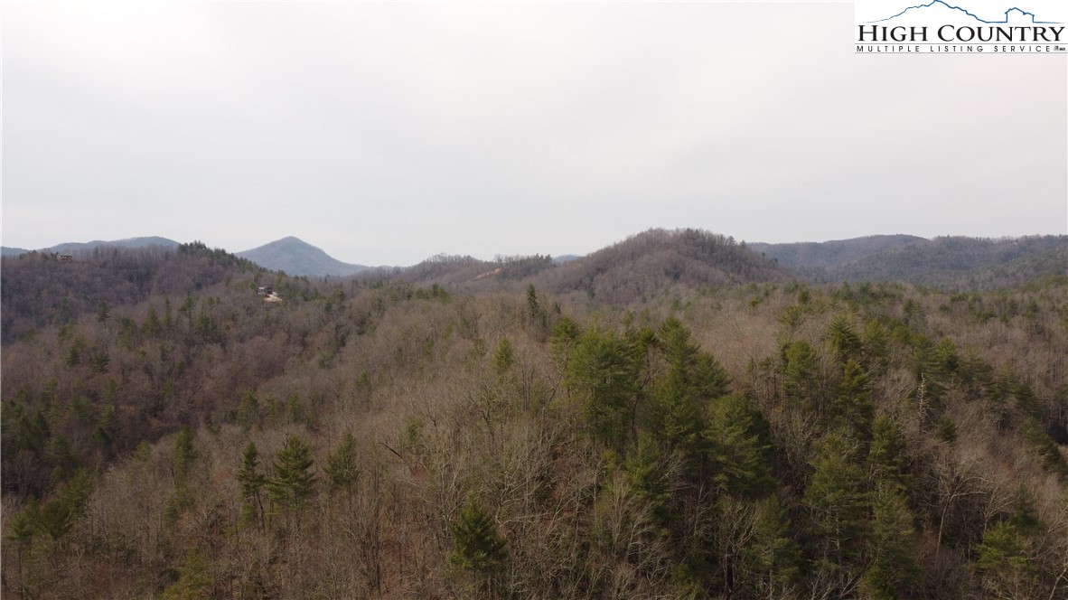0 Elk Creek Darby Road Property Photo 19