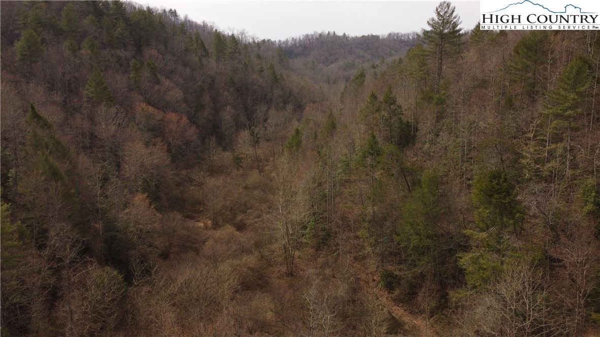 0 Elk Creek Darby Road Property Photo 20