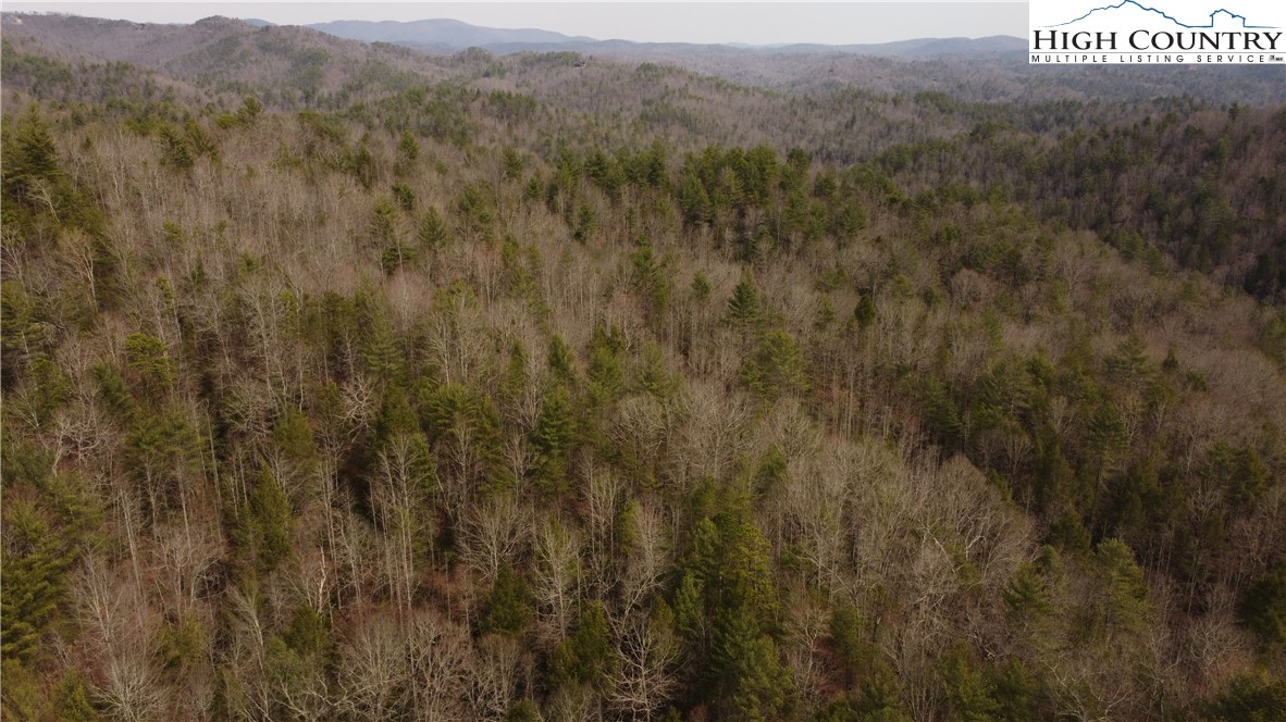 0 Elk Creek Darby Road Property Photo 21