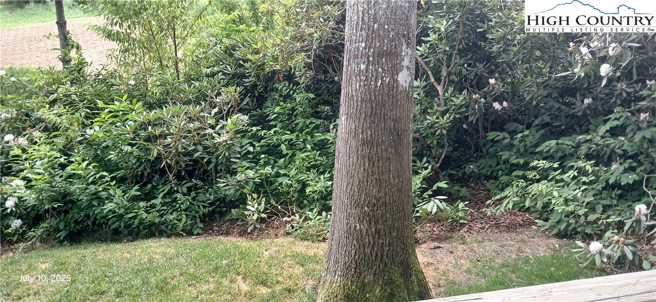 158 Trillium Road Property Photo 6