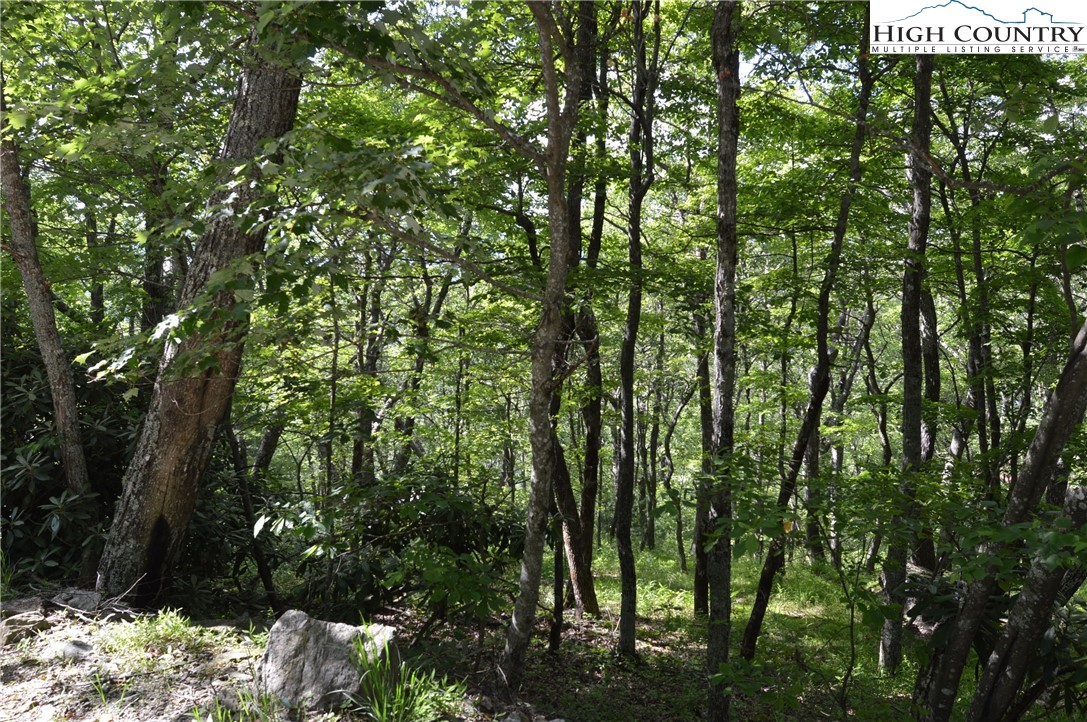 Tbd Rocky Mountain Road Property Photo 1