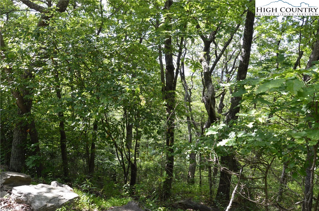 Tbd Rocky Mountain Road Property Photo 4