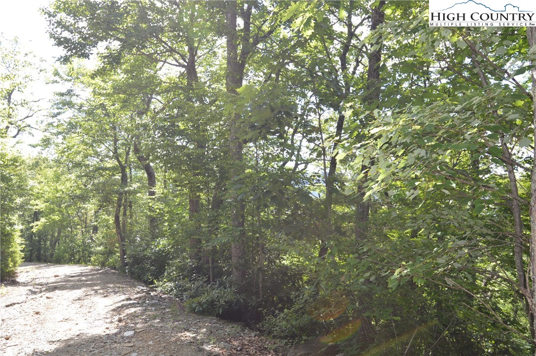 Tbd Rocky Mountain Road Property Photo 5