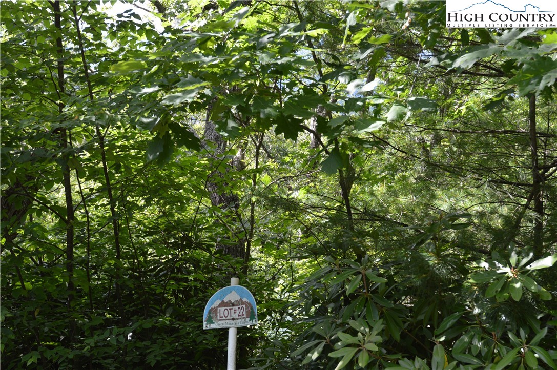 Tbd Rocky Mountain Road Property Photo 6
