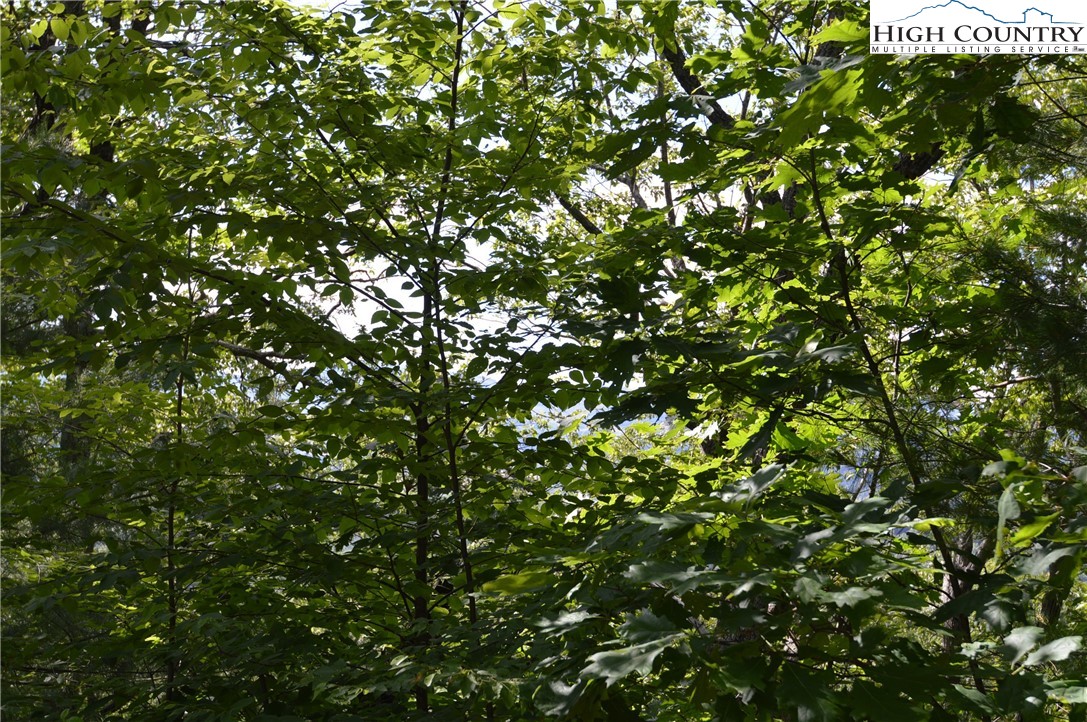 Tbd Rocky Mountain Road Property Photo 7