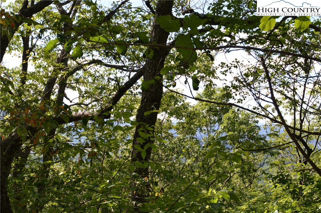 Tbd Rocky Mountain Road Property Photo 8