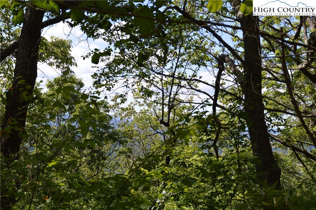 Tbd Rocky Mountain Road Property Photo 9
