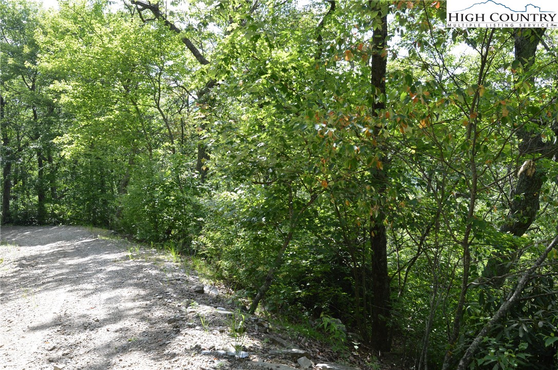 Tbd Rocky Mountain Road Property Photo 10