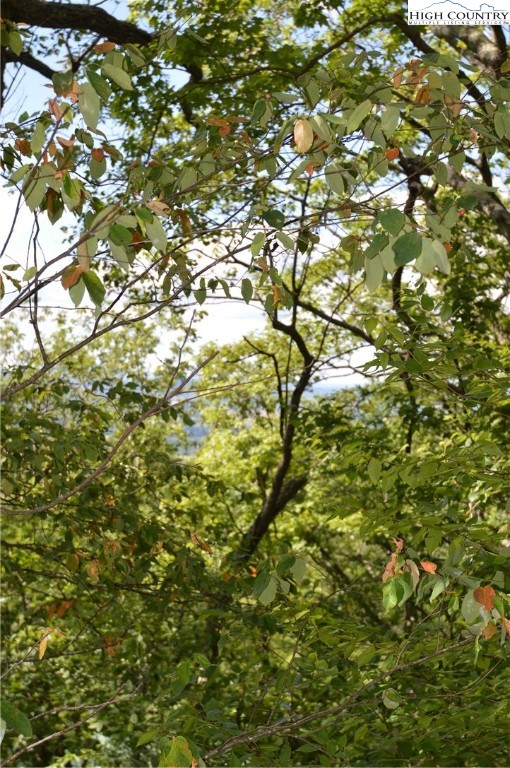 Tbd Rocky Mountain Road Property Photo 11