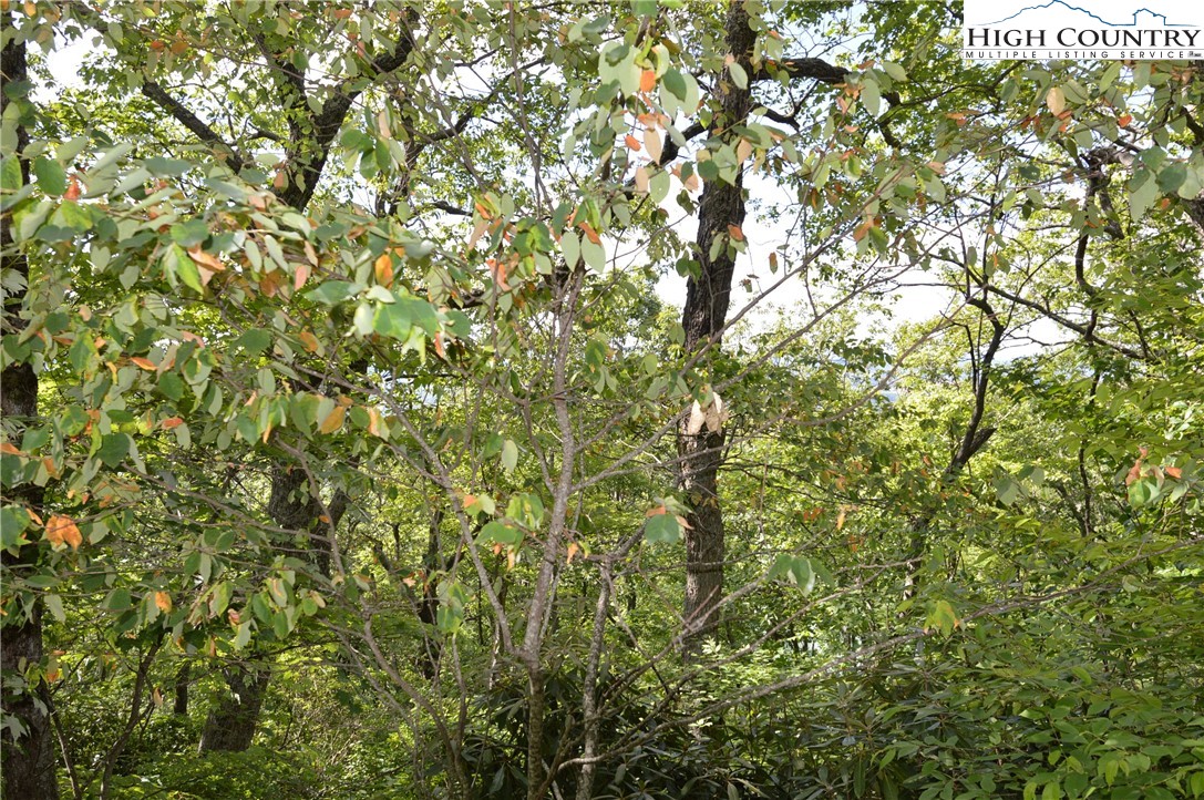 Tbd Rocky Mountain Road Property Photo 12
