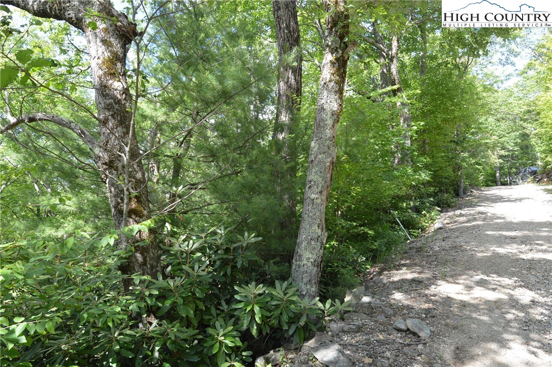 Tbd Rocky Mountain Road Property Photo 13