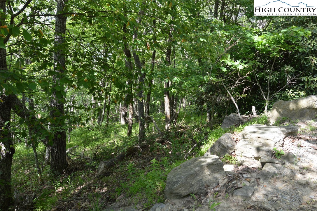 Tbd Rocky Mountain Road Property Photo 14