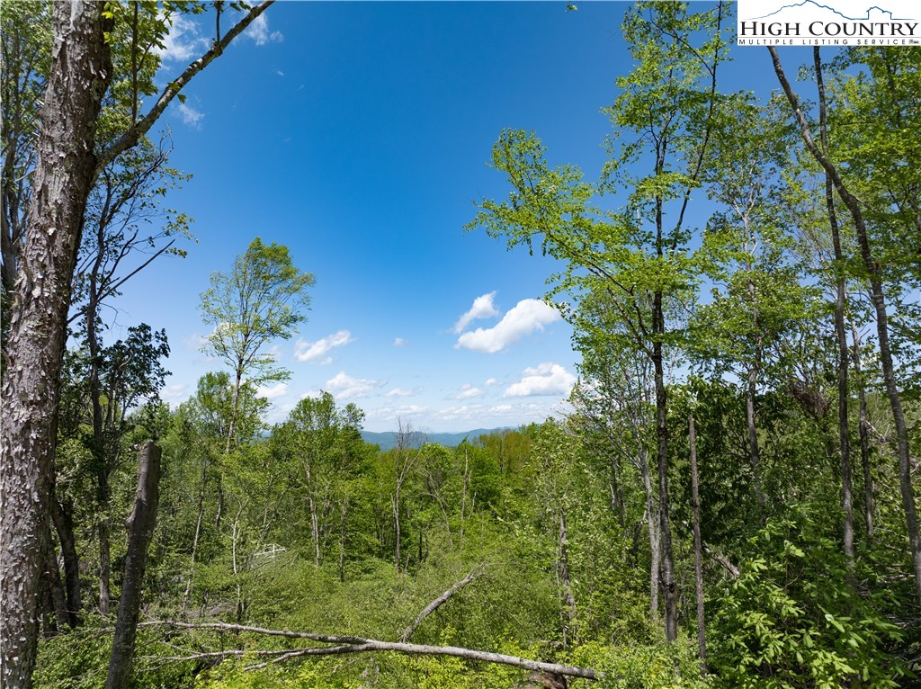 Es28 Eagle Springs Trail Property Photo 3