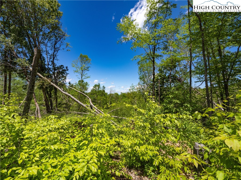 Es28 Eagle Springs Trail Property Photo 6