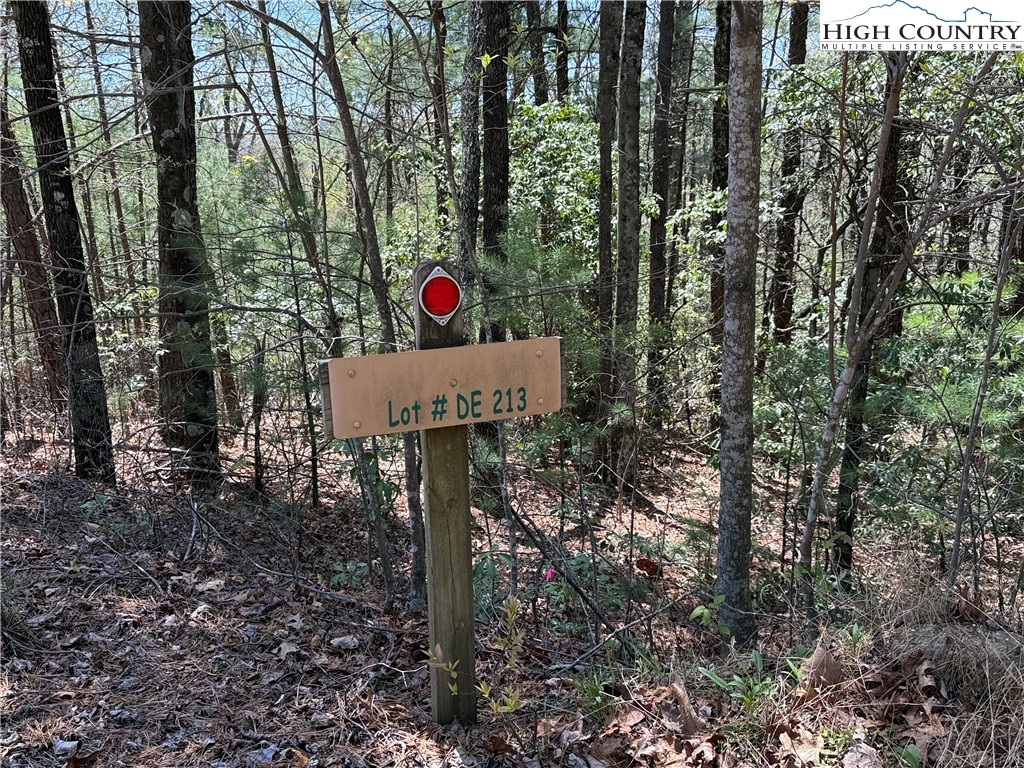 Lot 213 Casey Mountain Road Property Photo 3