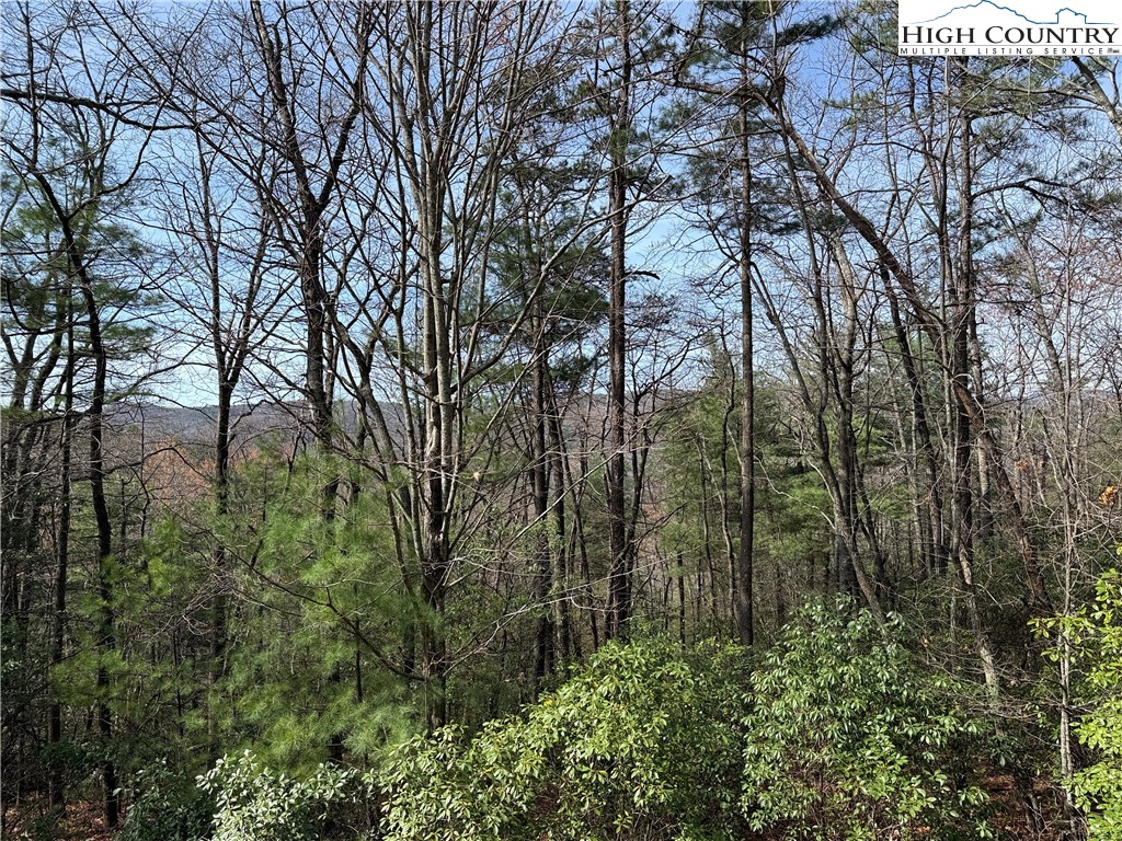 Lot 213 Casey Mountain Road Property Photo 4