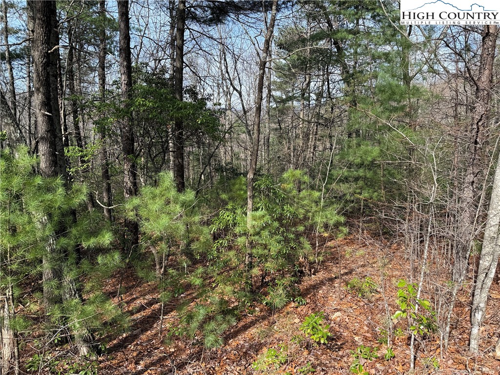 Lot 213 Casey Mountain Road Property Photo 6