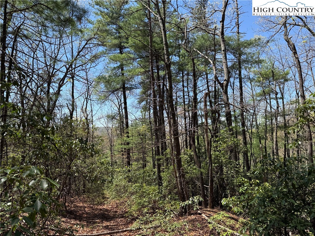 Lot 213 Casey Mountain Road Property Photo 7