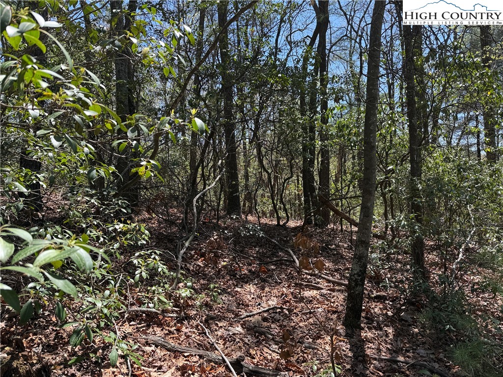 Lot 213 Casey Mountain Road Property Photo 8