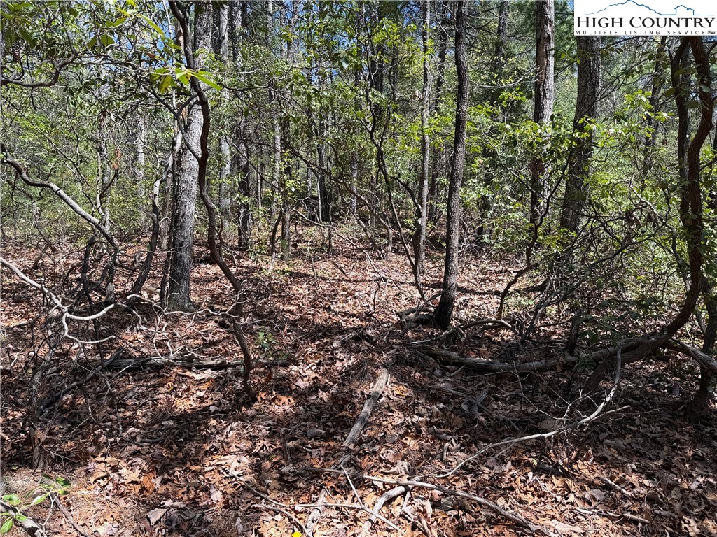 Lot 213 Casey Mountain Road Property Photo 9