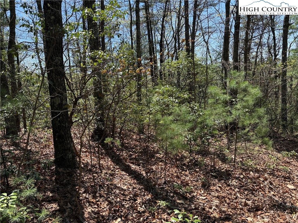 Lot 213 Casey Mountain Road Property Photo 10