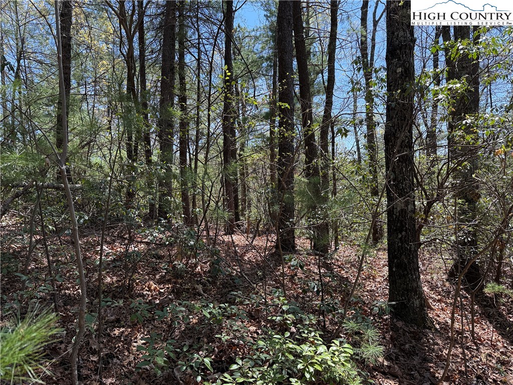 Lot 213 Casey Mountain Road Property Photo 11