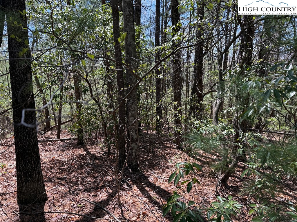 Lot 213 Casey Mountain Road Property Photo 12