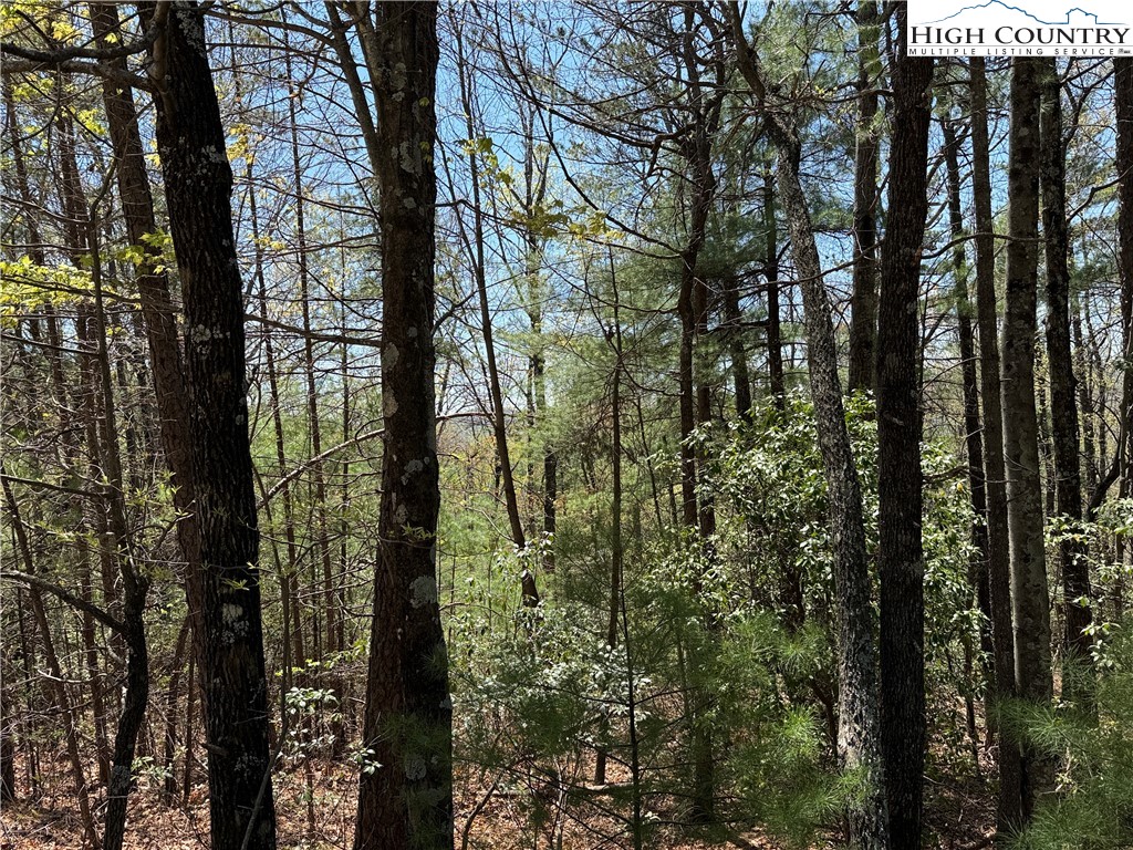 Lot 213 Casey Mountain Road Property Photo 13