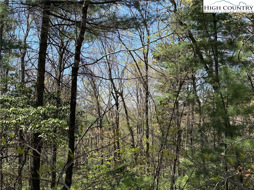 Lot 213 Casey Mountain Road Property Photo 14