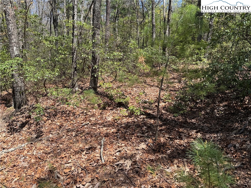 Lot 213 Casey Mountain Road Property Photo 16