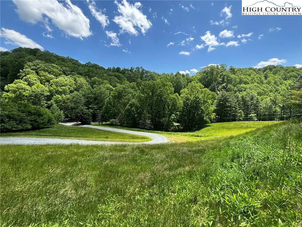 1528 Bairds Creek Road Property Photo 31