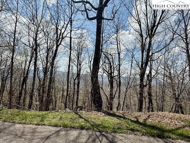 Lot 38 Crown Spruce Lane Property Photo 1