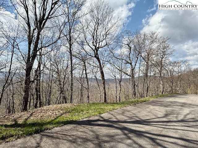 Lot 38 Crown Spruce Lane Property Photo 2