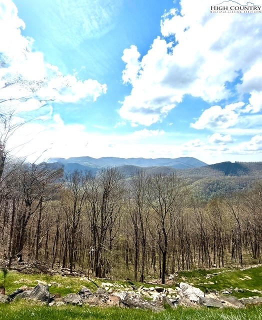 Lot 38 Crown Spruce Lane Property Photo 3