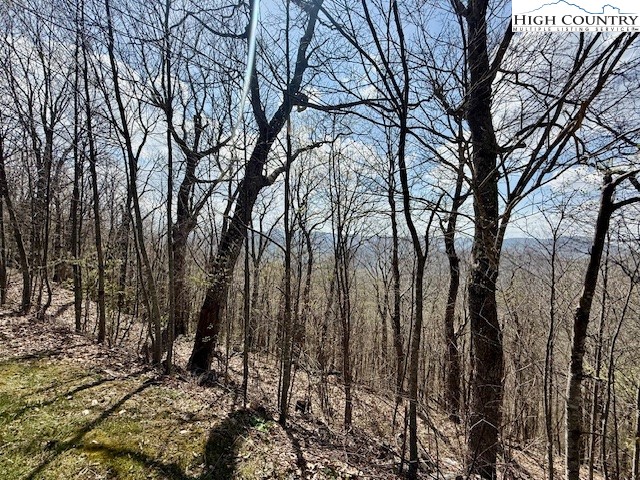 Lot 38 Crown Spruce Lane Property Photo 6