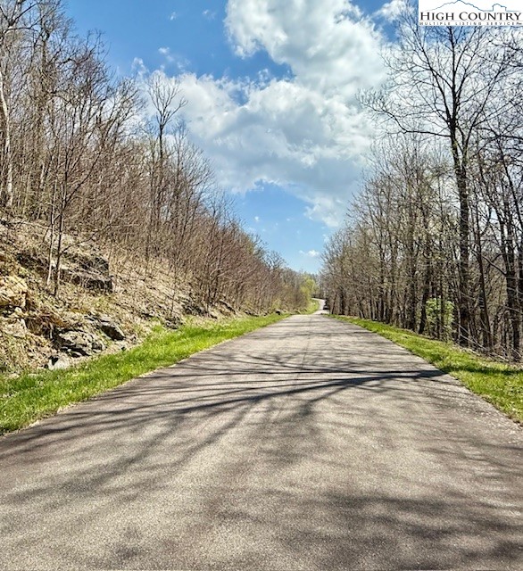 Lot 38 Crown Spruce Lane Property Photo 8