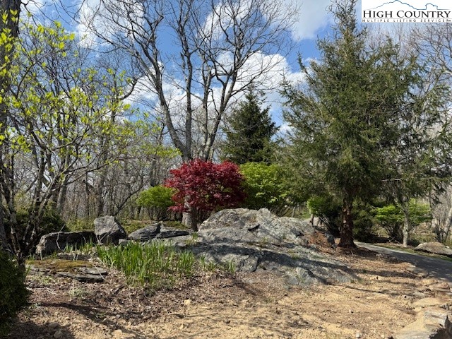 Lot 38 Crown Spruce Lane Property Photo 9