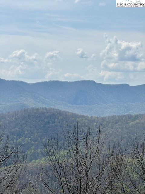 Lot 38 Crown Spruce Lane Property Photo 10