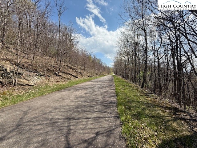 Lot 38 Crown Spruce Lane Property Photo 11