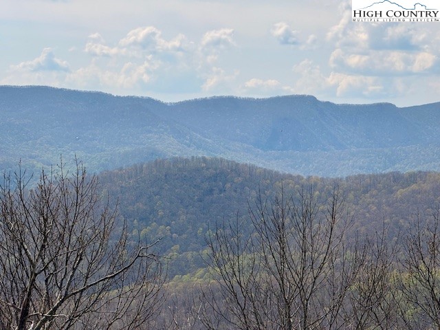 Lot 38 Crown Spruce Lane Property Photo 12