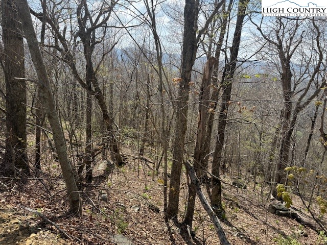 Lot 38 Crown Spruce Lane Property Photo 13