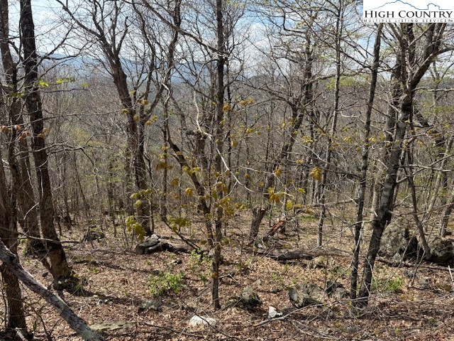 Lot 38 Crown Spruce Lane Property Photo 15