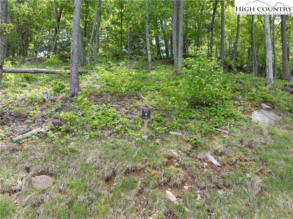 Ec4 Eagle Crest Trail Property Photo 7
