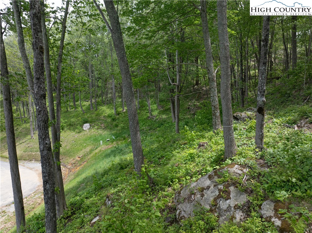 Ec4 Eagle Crest Trail Property Photo 18