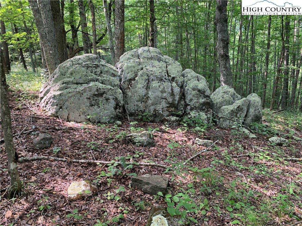 Tbd Three Top Road Property Photo 7