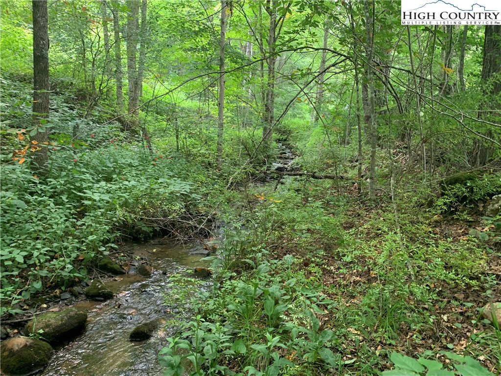 Tbd Three Top Road Property Photo 8