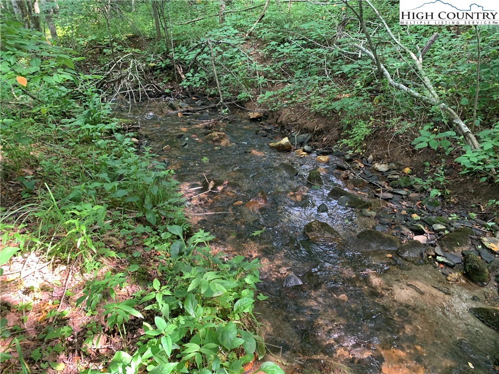 Tbd Three Top Road Property Photo 10