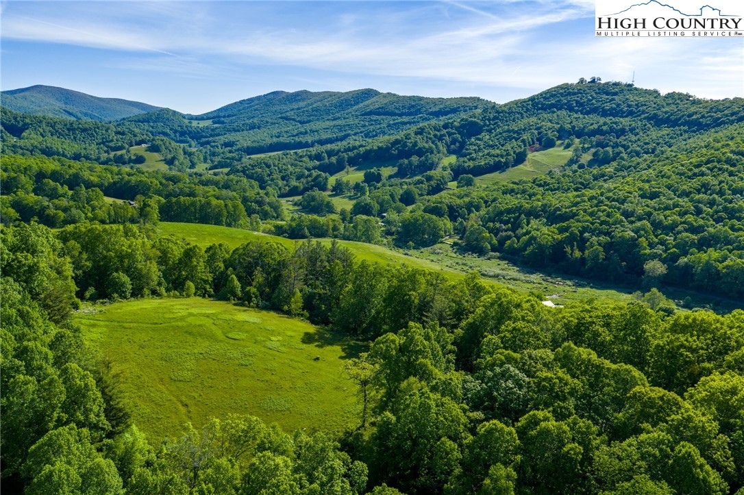 Tbd Three Top Road Property Photo 11