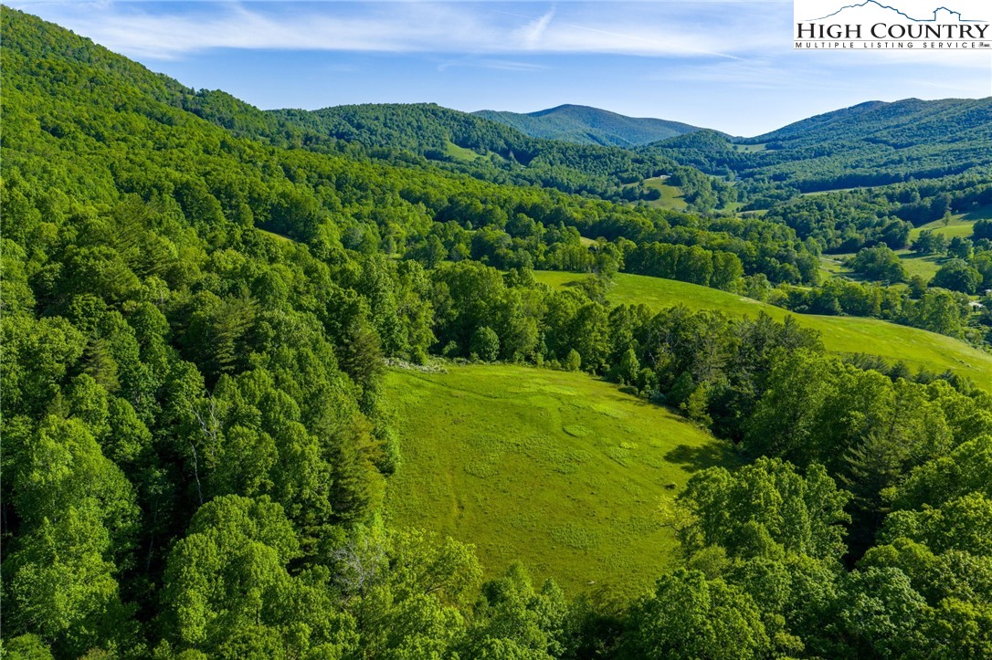 Tbd Three Top Road Property Photo 12